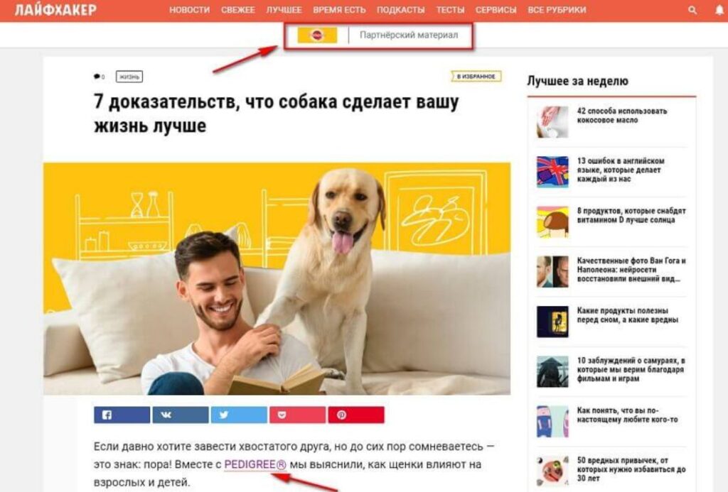 что такое нативная реклама что такое нативная реклама - фото